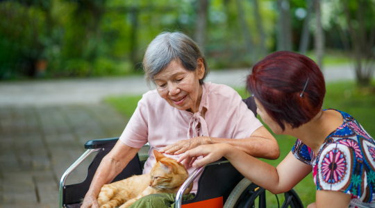 Home Care Services, Elder Care, Senior Care, In-Home Assistance, Companion Care